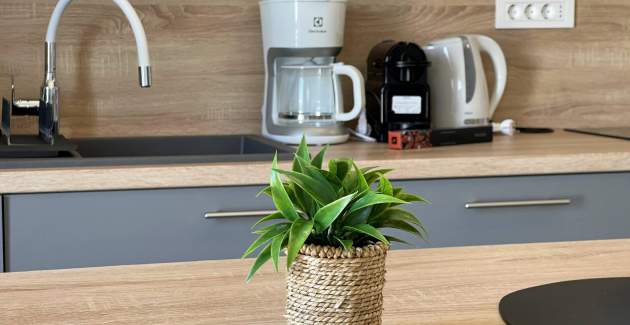 Luxusapartment Bonum 1 – Meerblick & Balkon