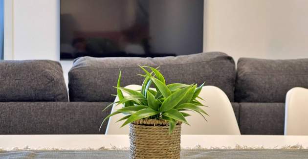 Luxusapartment Bonum 3 – privater Pool