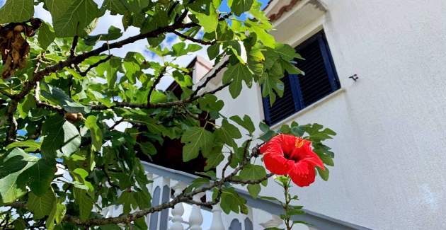 Apartman Horvat 1 – pogled more