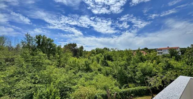 Apartment Nikolic 1