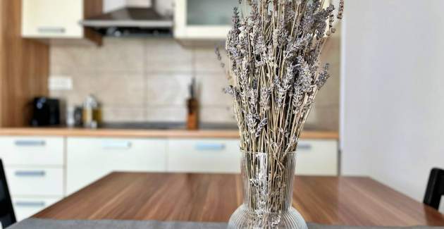 Apartment Pinta de Sol 6 – Meerblick, Haustiere erlaubt