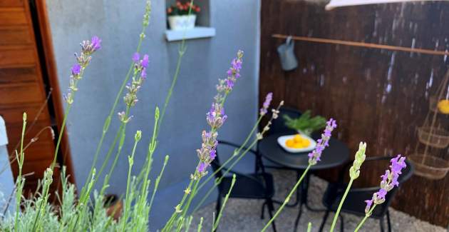Studioapartment Savic – 90 m vom Strand