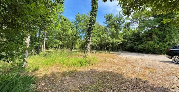 Apartment Scheich 1 – Meerblick