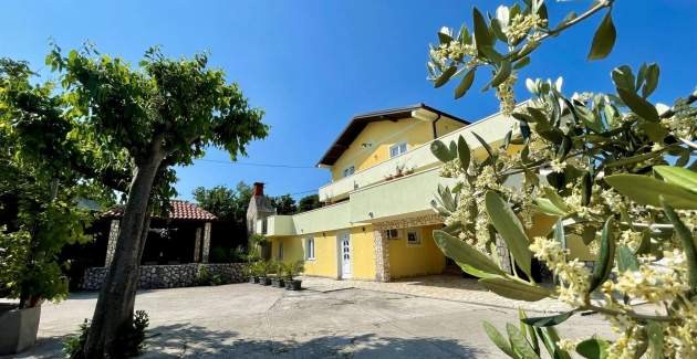 Top Apartment 1 – geeignet für Haustiere und Behinderte