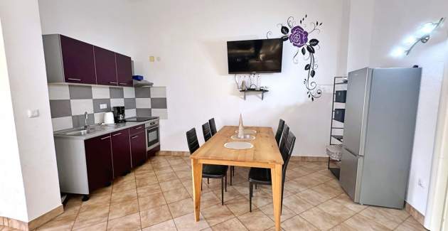 Top Apartment 2 – geeignet für Haustiere und Behinderte