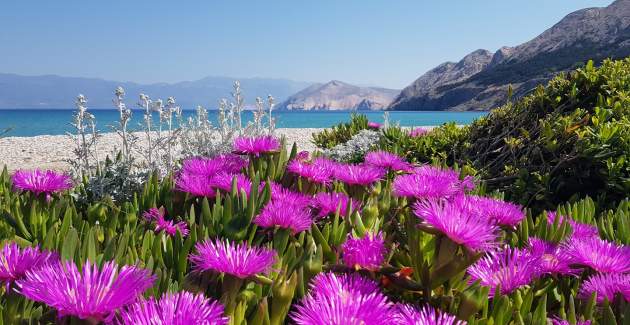 Studio-Apartment Rozman Beach – strandnah, mit Terrasse