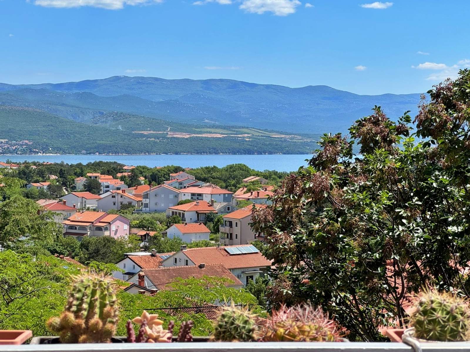 Studio-Apartment Anđelka – Meerblick